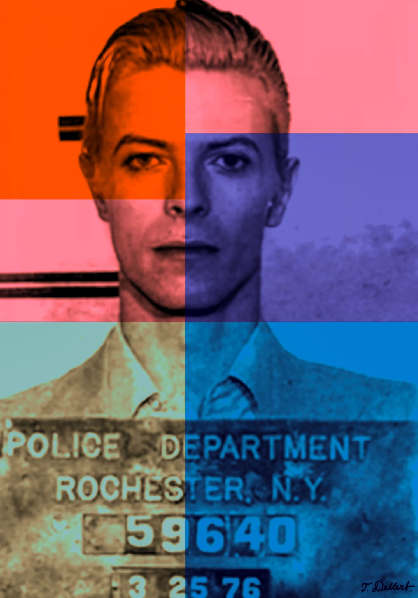  DAVID BOWIE  solo  copy